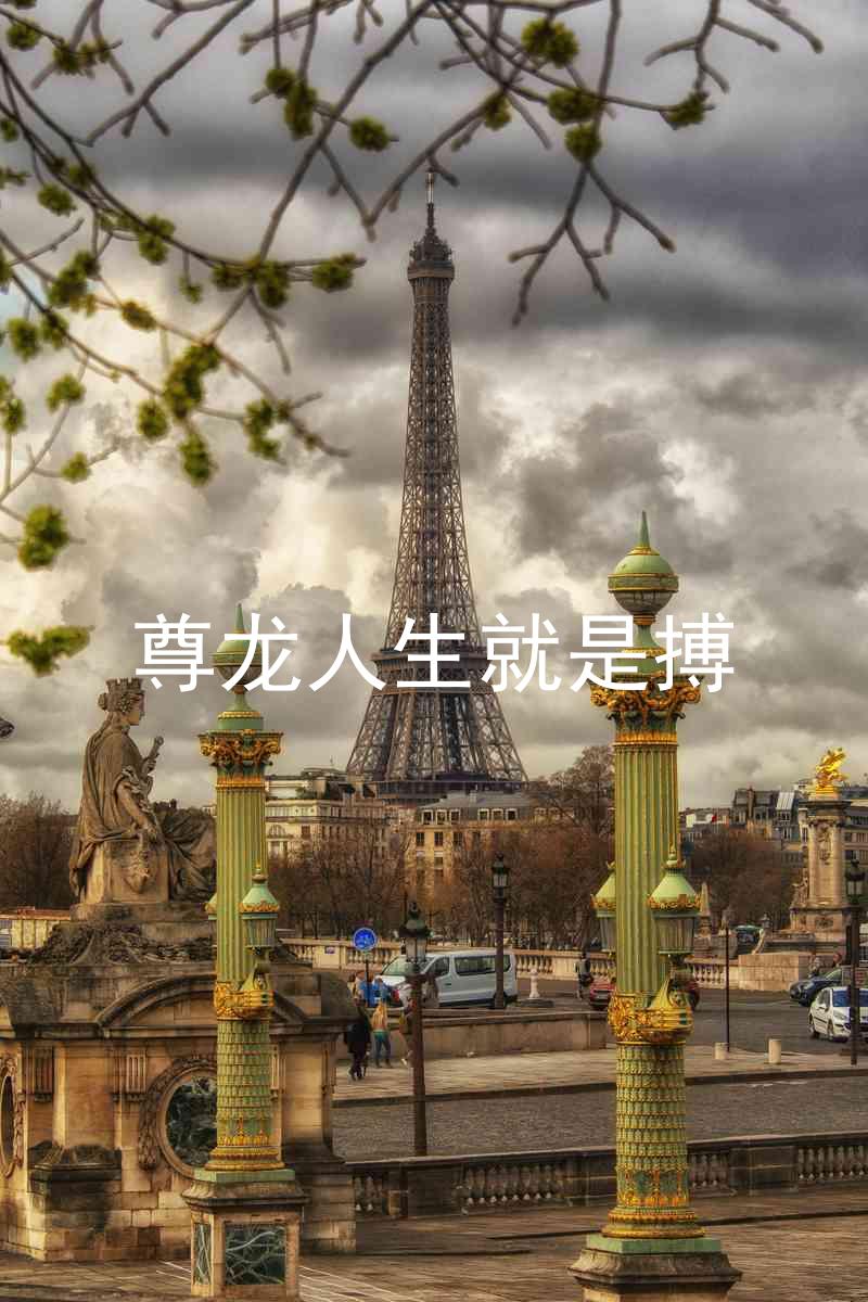尊龙人生就是搏