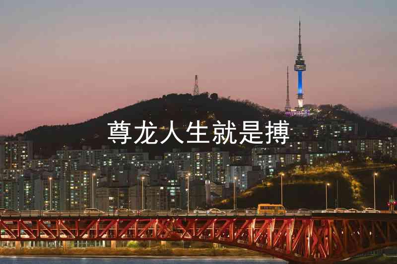 尊龙人生就是搏