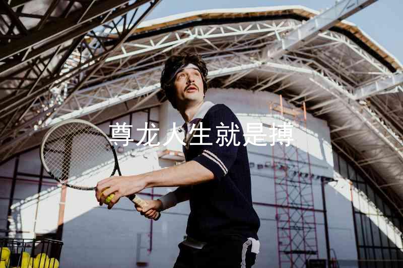 尊龙人生就是搏