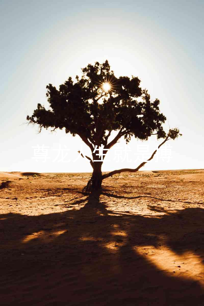 尊龙人生就是搏