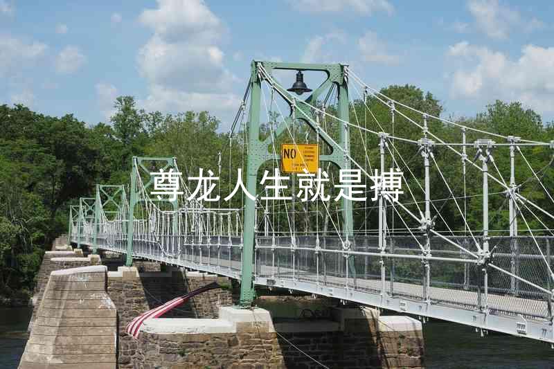 尊龙人生就是搏