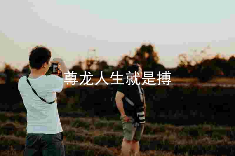 尊龙人生就是搏