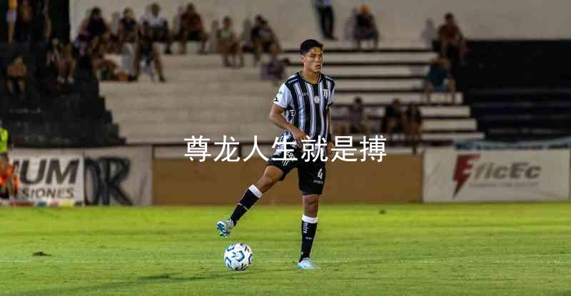 尊龙人生就是搏